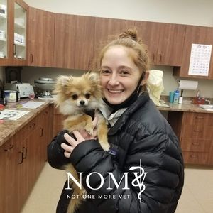 Meet your Posher, Karli